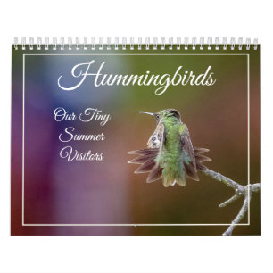 Hummingbird, Calendário de Visitantes de Verão Peq