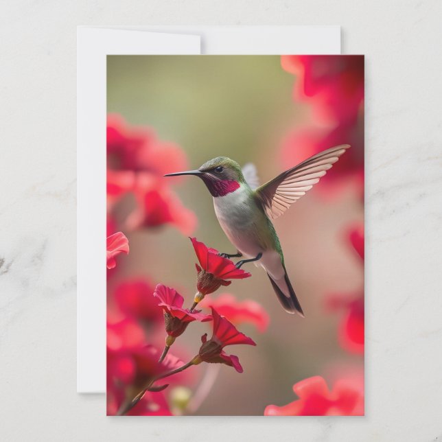 Hummingbird - Cartão de Saudação Simples (Frente)