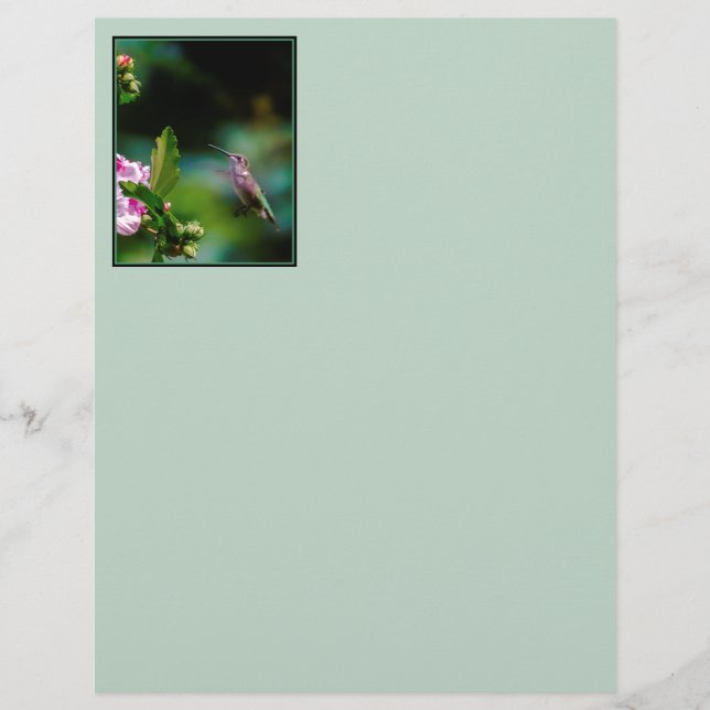 Hummingbird com garganta de rubi - Fotografia orig (Frente)