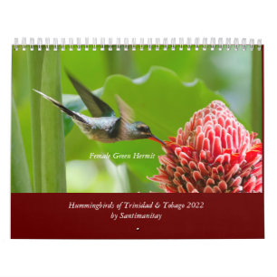 Hummingbird de Trinidad e Tobago 2022 Calendário