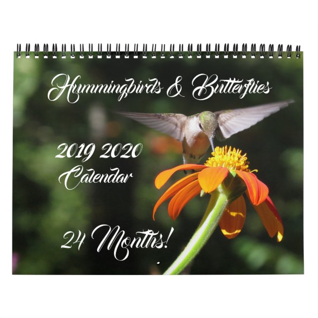 Hummingbird e Borboletas 2019 Calendário 2020 (Capa)