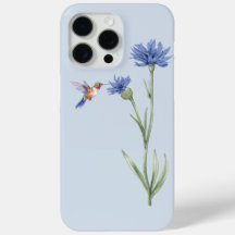 Hummingbird e Cornflower