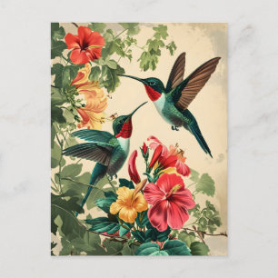 Hummingbird e Flores: Cartão postal Vintage