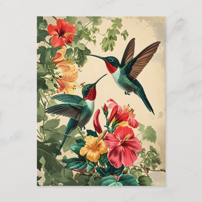 Hummingbird e Flores: Cartão postal Vintage (Frente)
