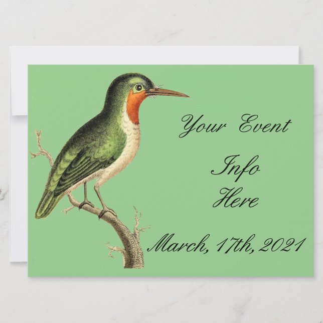 Hummingbird em Branch Thunder_Cove (Frente)