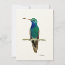 Hummingbird em galho