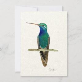 Hummingbird em galho