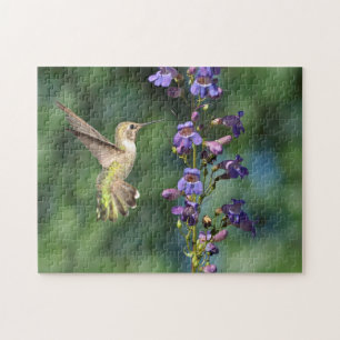 Hummingbird em Voo Com Quebra-cabeça de Flor
