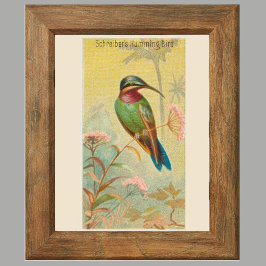 Hummingbird, Gallery Wall Art Set 6, 5/6 Poster