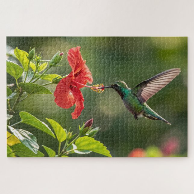 Hummingbird Hibiscus Quebra-cabeça - Arte trópica  (Horizontal)
