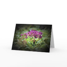 Hummingbird Moth, cartão