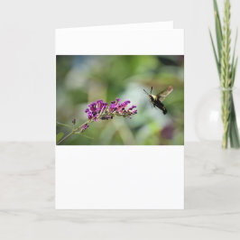 Hummingbird Moth, cartão