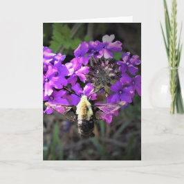 Hummingbird Moth & Verbena, cartão
