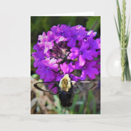 Hummingbird Moth & Verbena, cartão