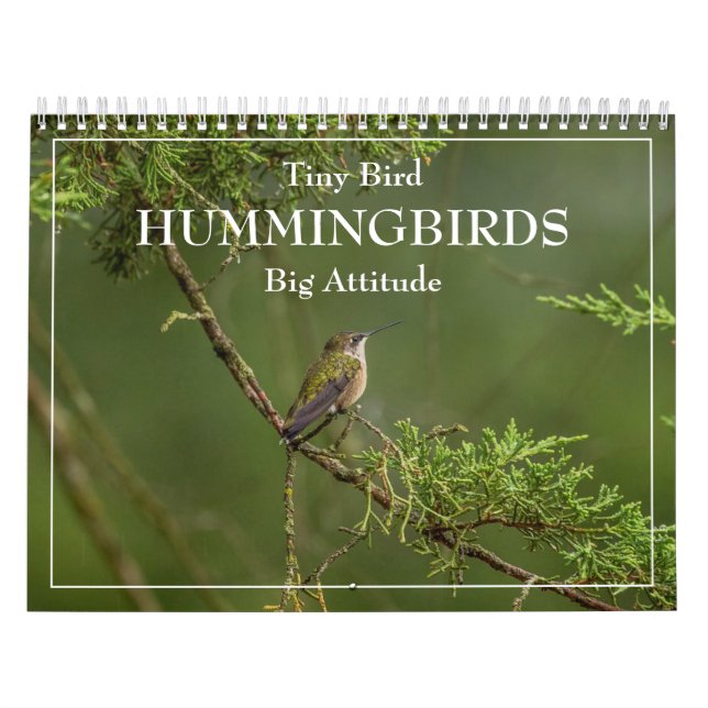 Hummingbird Pequeno Pássaro Grande Calendário de A (Capa)