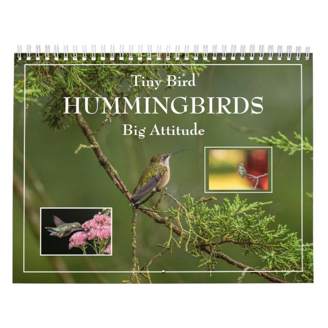 Hummingbird Pequeno Pássaro Grande Calendário de A (Capa)