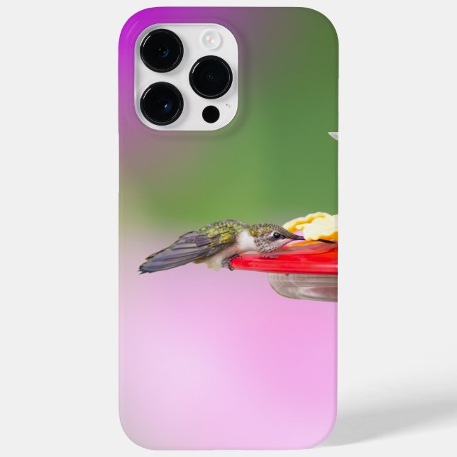 Hummingbird Trocado por Ruby (Verso)