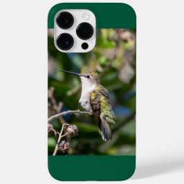 Hummingbird Trocado por Ruby