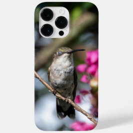 Hummingbird Trocado por Ruby