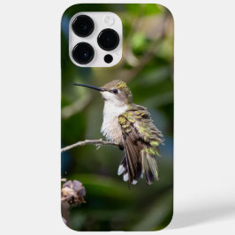 Hummingbird Trocado por Ruby