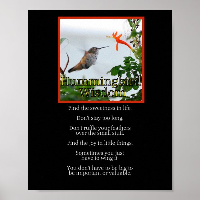 Hummingbird Wisdom Poster (Frente)