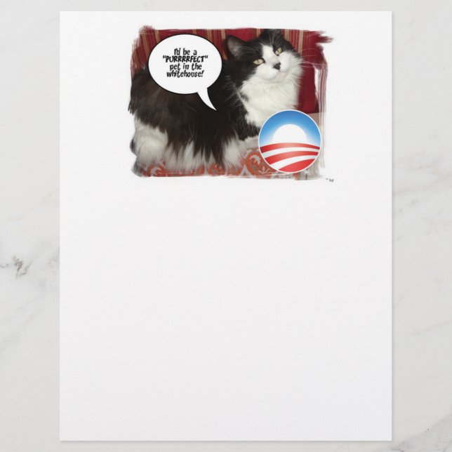 Humor de Gato Político (Frente)