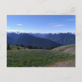 Hurricane Ridge - cartão postal do Parque Nacional