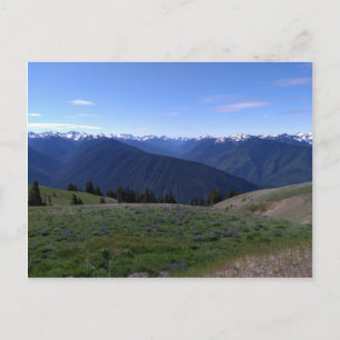 Hurricane Ridge - cartão postal do Parque Nacional
