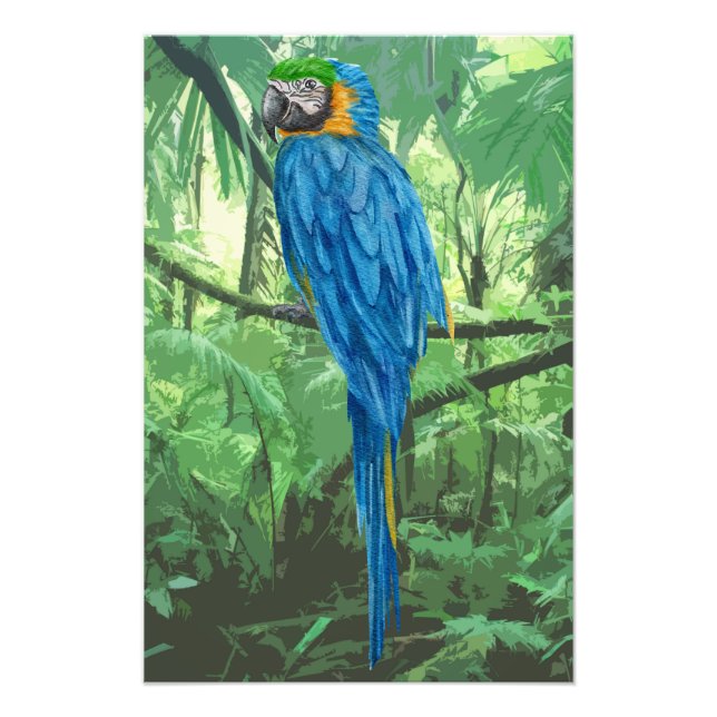 Hyacinth Macaw Design Foto Alargamento (Frente)