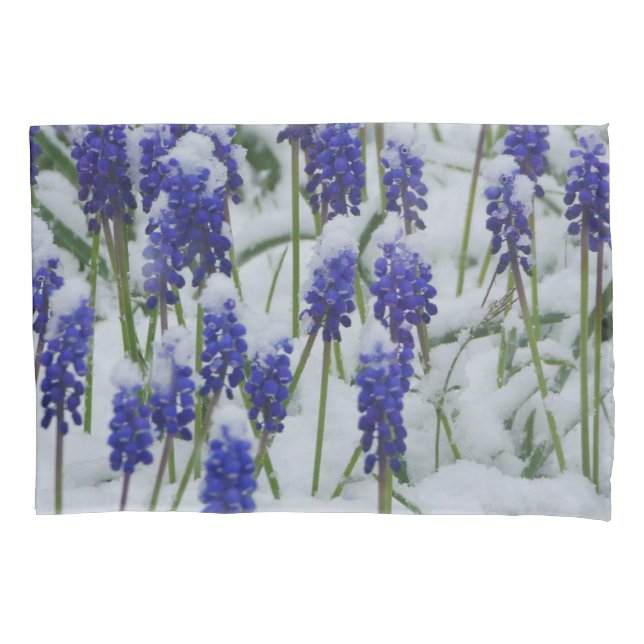 Hyacintos de Uva na Mala de Neve (Frente)