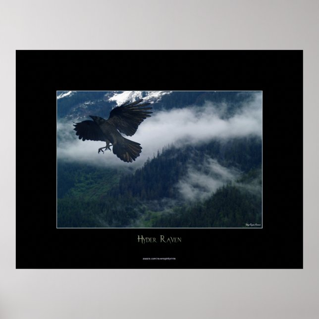 Hyder Raven Wildlife Art Poster (Frente)