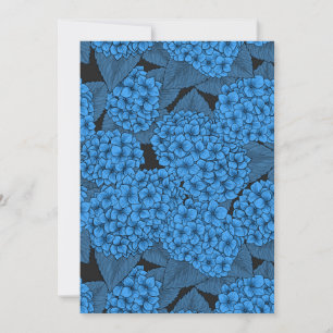 Hydrangea azul