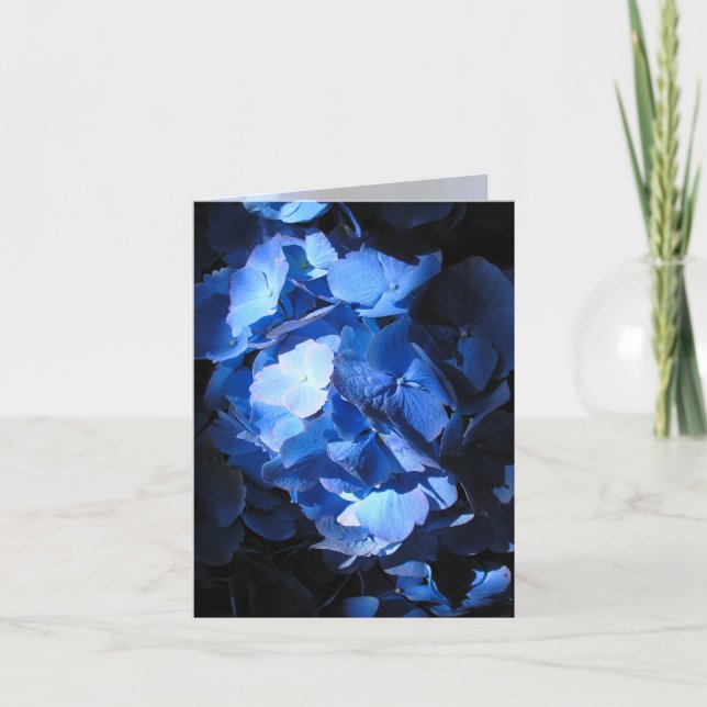 Hydrangea azul - Cartão de Nota (Frente)
