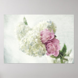 Hydrangea azul e impressão cor-de-rosa da peônia
