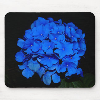 Hydrangea azul Mousepad