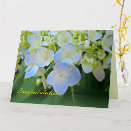 Hydrangea Azul Qualquer Cartão de Parabéns de Ocas