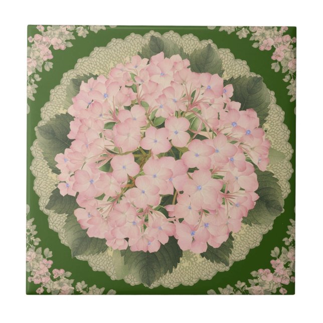 Hydrangea Blooms Floral Azulejo cerâmico rosa (Frente)