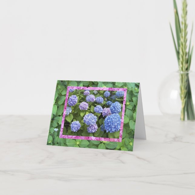 Hydrangea! Cartão (Frente)