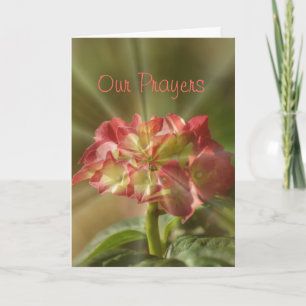 Hydrangea Cartão de oração ou qualquer ocasião