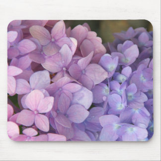 Hydrangea cor-de-rosa e roxo Mousepad
