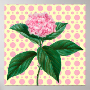 Hydrangea cor-de-rosa Poster da Flor de Arte Retro