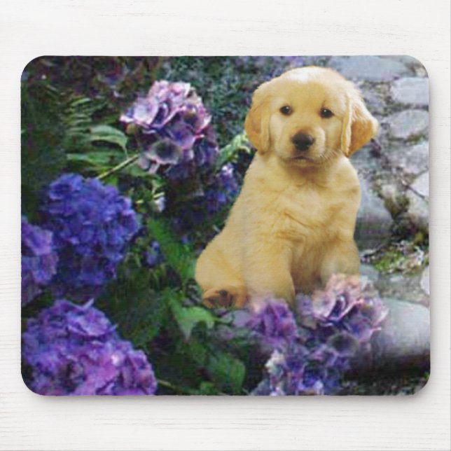 Hydrangea de Mousepad do golden retriever (Frente)