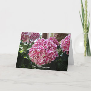Hydrangea Obter Bem Cartão