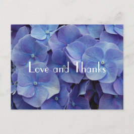 Hydrangea Purple Obrigado Cartão Postal