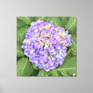 Hydrangea - Roxo - Impressão de Tela