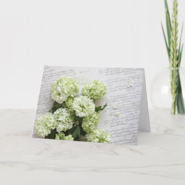 hydrangeas brancos com o cartão da escrita do (Frente)