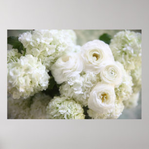 hydrangeas e poster brancos do ranúnculo