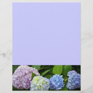 Hydrangeas florais azul púrpura