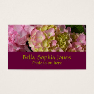 Hydrangeas Rosa e Cream
