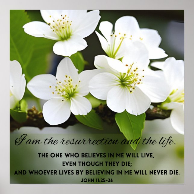 I Am Resurrection Motivational Bíblia Verse Poster (Frente)